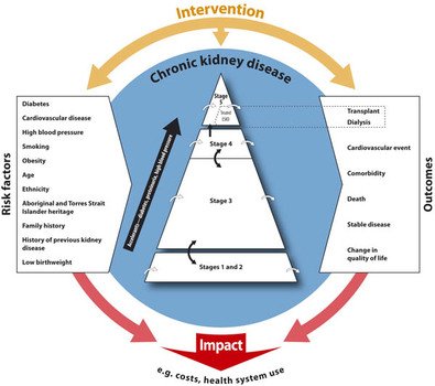 Anemia In Chronic Kidney Disease National And Search Results