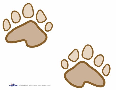 Paw Kit Middot Bear Paws Hosted Beartracker All Womens Collection