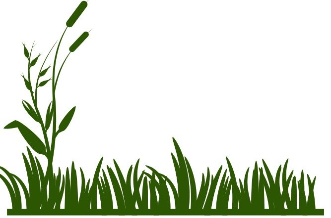 Green Grass Border Panda Free Images N2