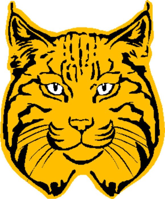 yellow cat head