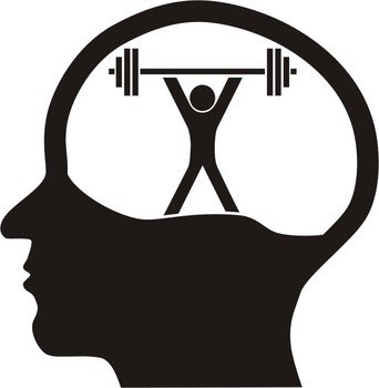 Gym Programms Information On Happy Healthy News