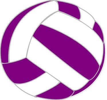Purple And White Volleyball Vector Online