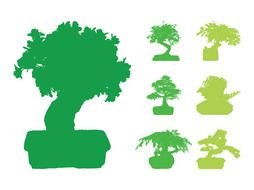 Bonsai trees green silhouettes