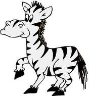 Zebras N3