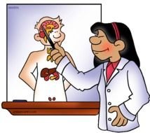 Home Science Games Video Clips N5