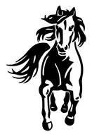 Wild Horse Stallion Car Motorbike Laptop Vinyl Decals Stickers