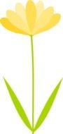 Flower Png drawing