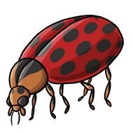 Return To Free Ladybug