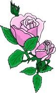 drawing of a pink rose with green leaves