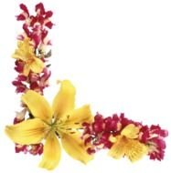 flower animation as decoration