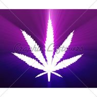 Marijuana Leaf Illustration N2