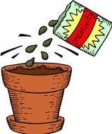 plant creative seeds in a pot