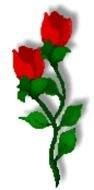 Clip art of the two red roses