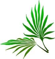 Christmas Palm Trees Branch Home Improvement Gallery