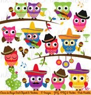 Cute Owls 2 Mexico 3
