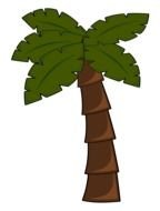 Palm Tree Leaves drawing