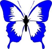 Blue Butterfly At Clkercom Vector Online Royalty