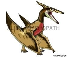 Jurassic Park Female Pteranodon By Alien Psychopath On Deviantart