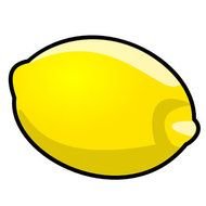 fresh lemon Slice drawing