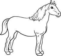 horse like graphic outline