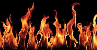 orange flame of fire on a black background
