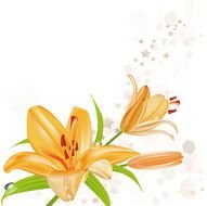 Orange Lotus as a picture for a clipart