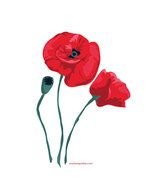 Outline Of Poppy