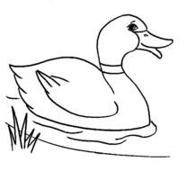 black and white drawing ducks on the water