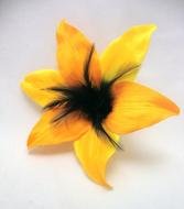 isolated yellow lily
