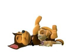 Paw Patrol Chase And Skye Fanfiction X By Torres000