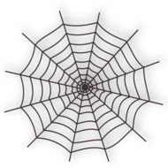 drawn web on a white sheet