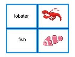 educational card for sea animals