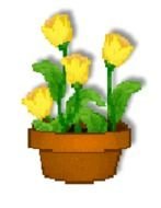 Clipart of yellow potted tulips