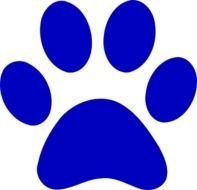 Rainbow Blue Paw drawing