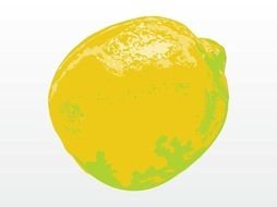 Lemon Illustration drawing