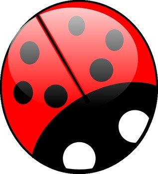 Ladybug Bright Colors At Clkercom Vector Online