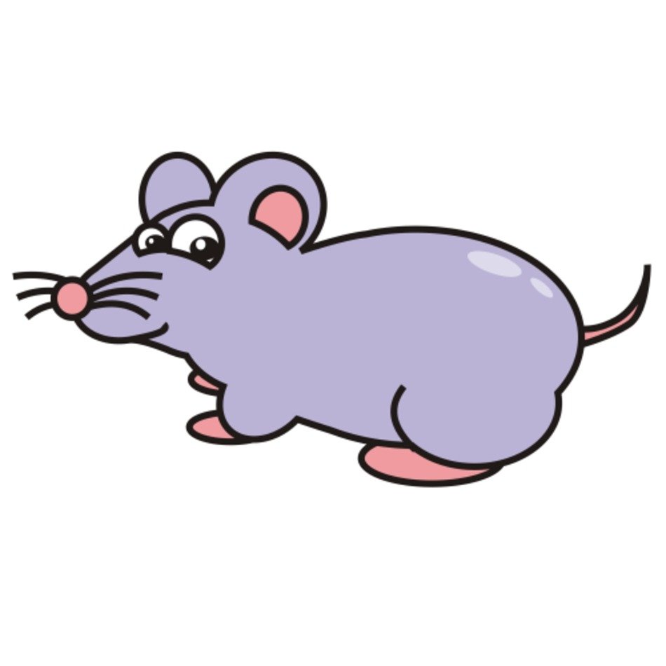 Mouse Black And White Panda Free Images N5