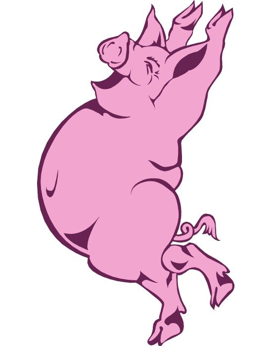 You May Show Original Images And Post About Pig In Here If