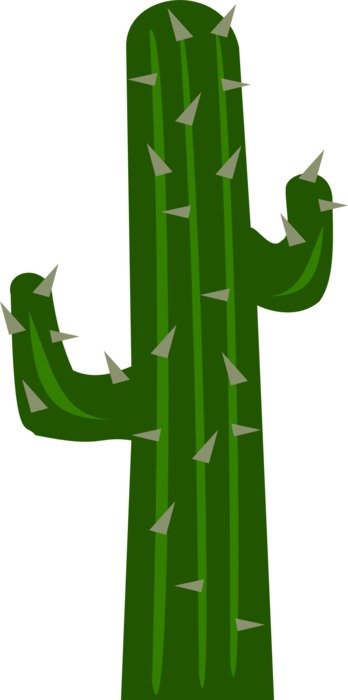 green cactus as a picture for clipart