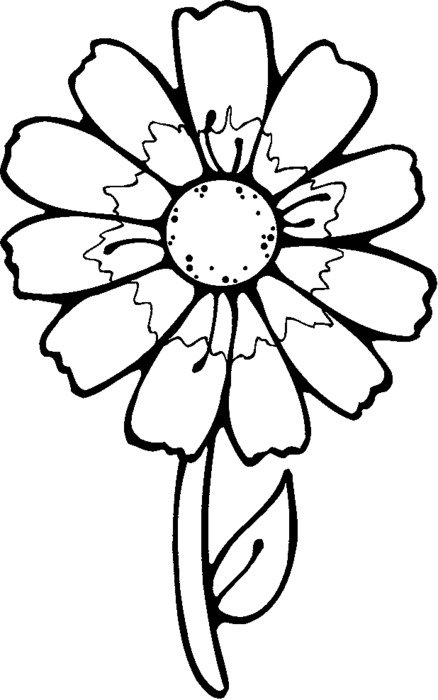 Flower Coloring Printables Check drawing