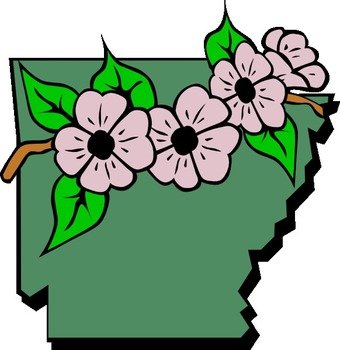 Hawaii State Flower With
