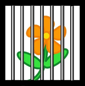 Jail Bars Png Flower Behind