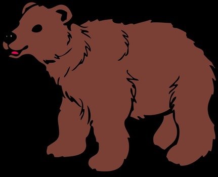 brown bear on the black background