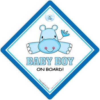 Baby Boy On Board Hippojpg