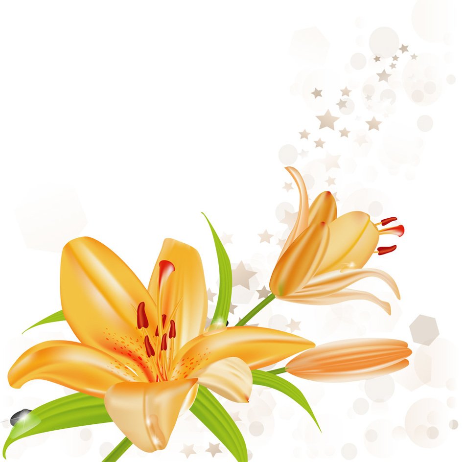Orange Lotus as a picture for a clipart