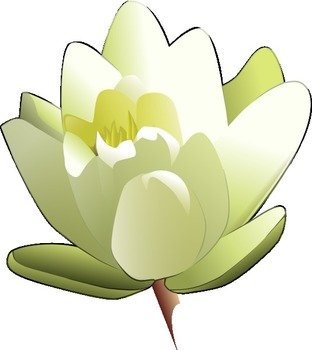 Leland Mcinnes Water Lily At Clkercom Vector