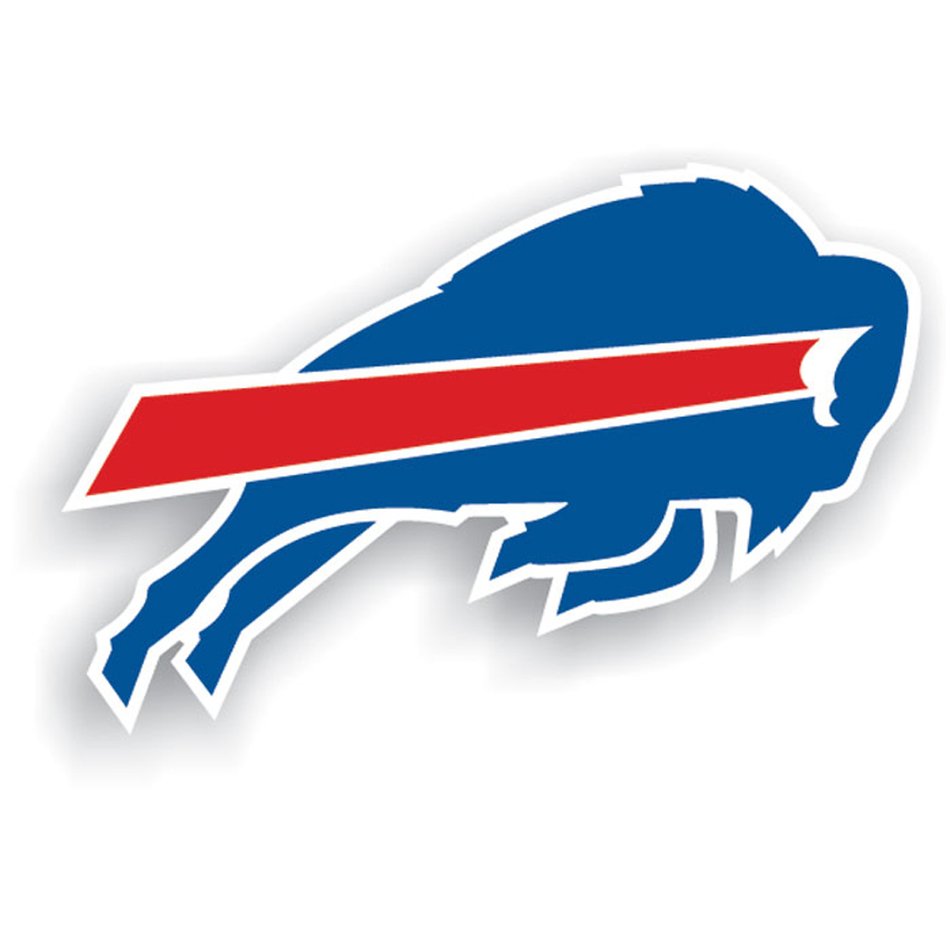 red stripe on blue bison silhouette