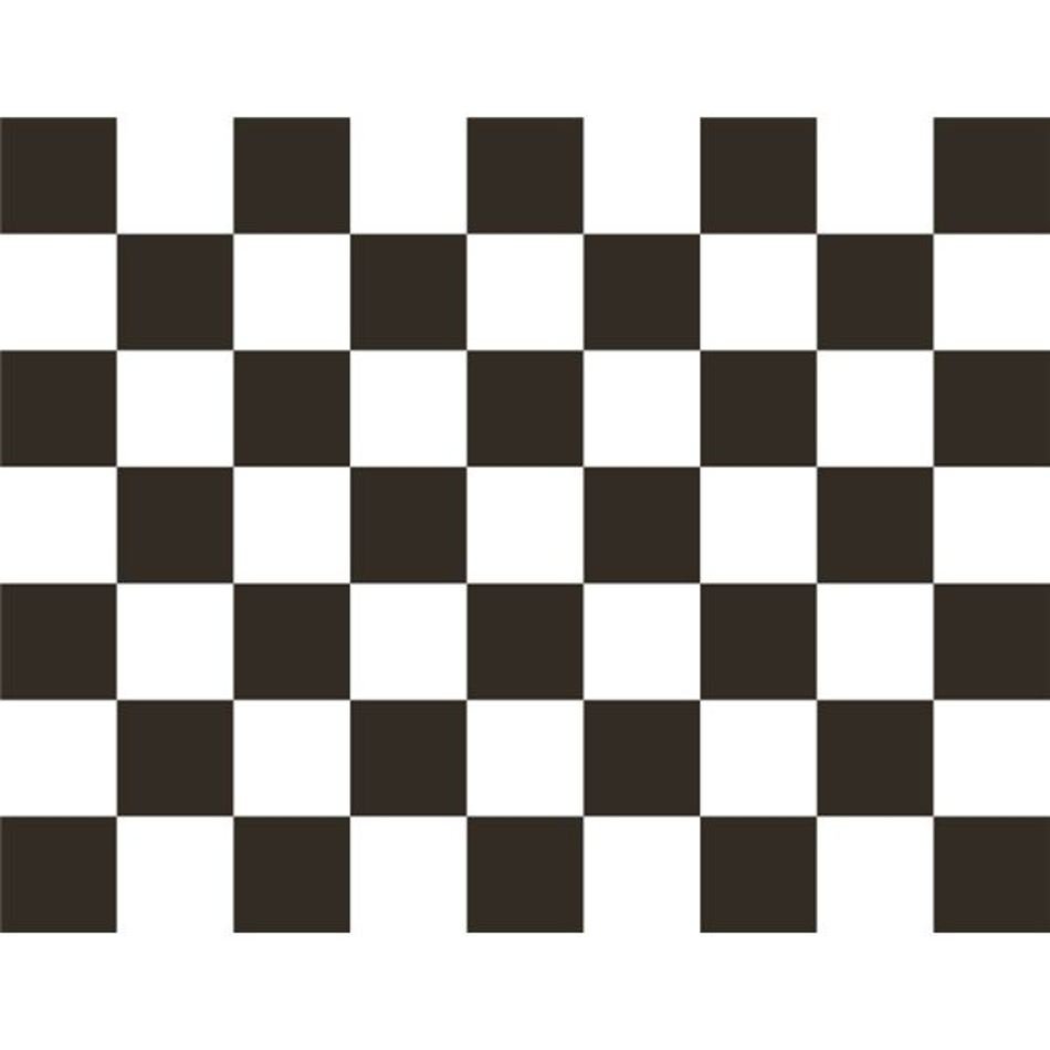 Nascar Black And White N2