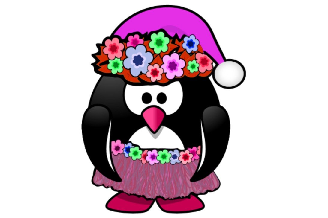 Penguin Wearing Christmas Hat Vector