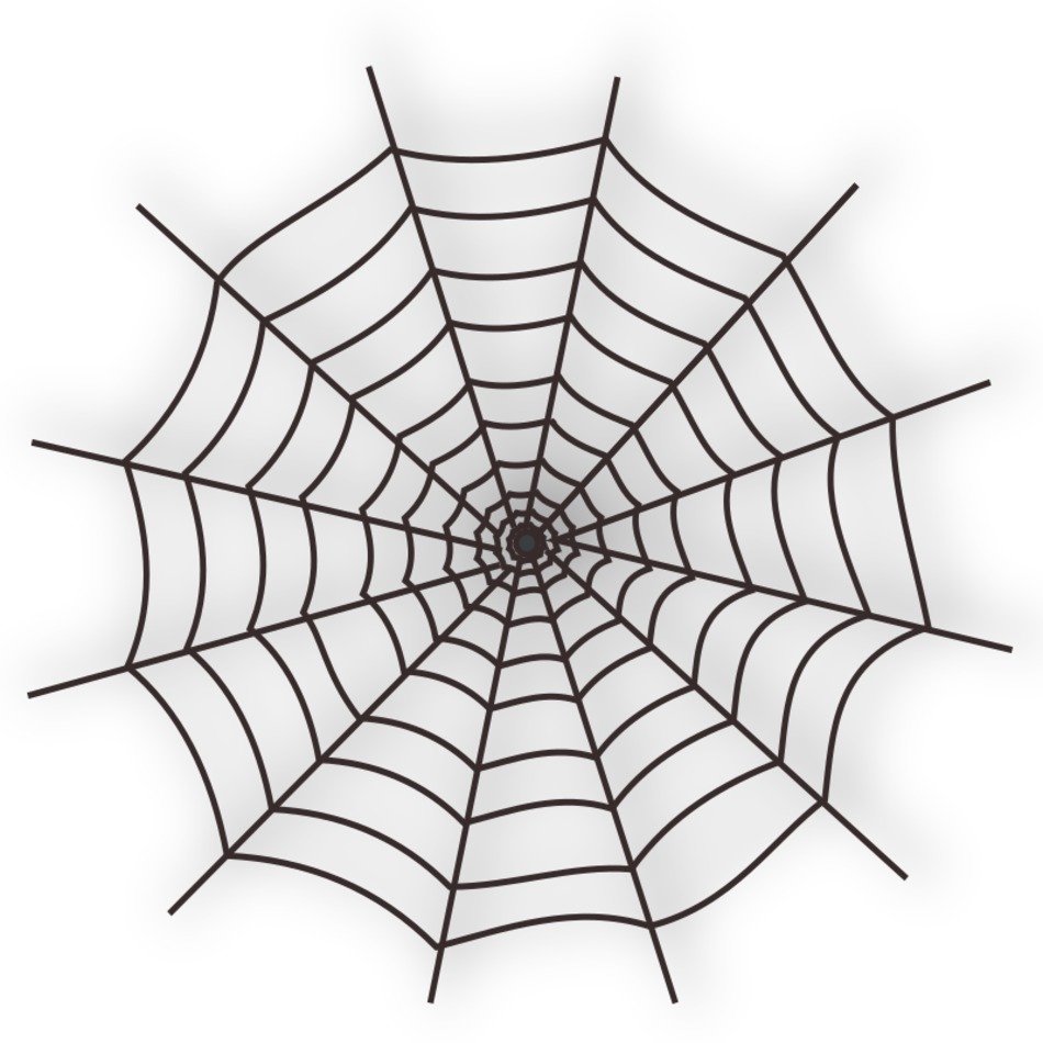 drawn web on a white sheet